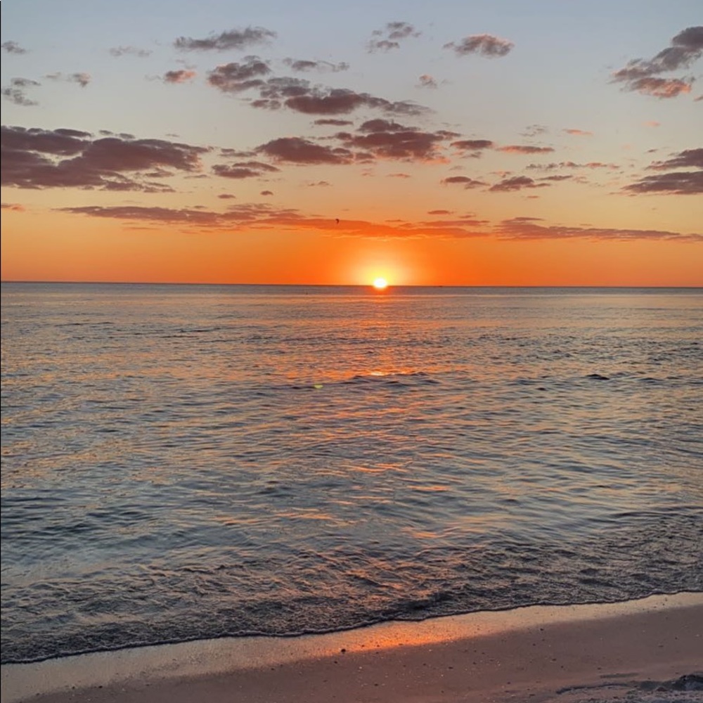 Meet your Posher, Ella